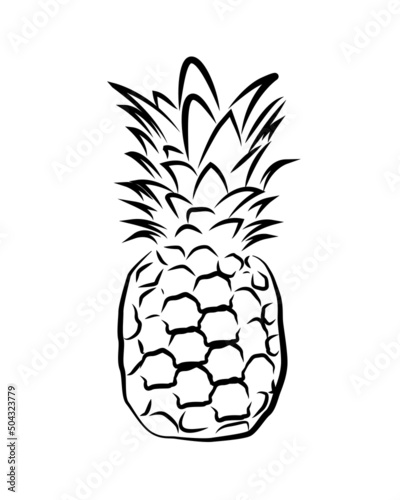 Pineapple vector isolated on a white background. Fresh fruit icon.