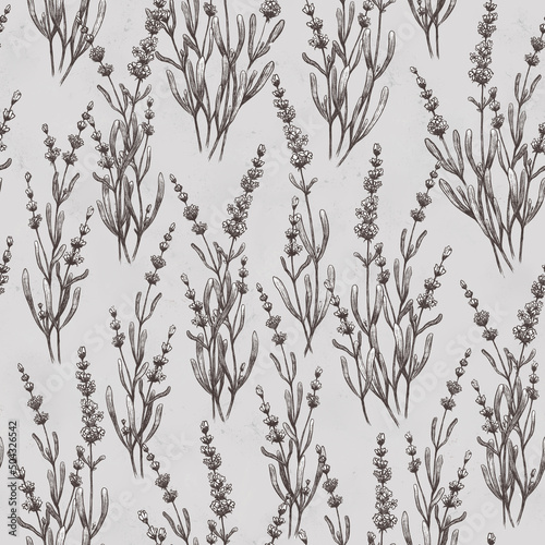 seamless pattern of lavender plants and flowers black and white color 