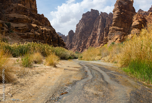 Wadi Al Disah valley views in Tabuk region of western Saudi Arabia