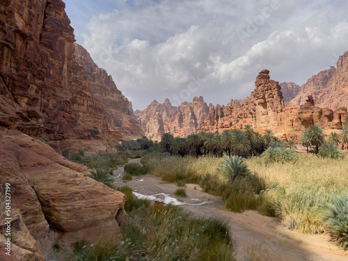 Wadi Al Disah valley views in Tabuk region of western Saudi Arabia