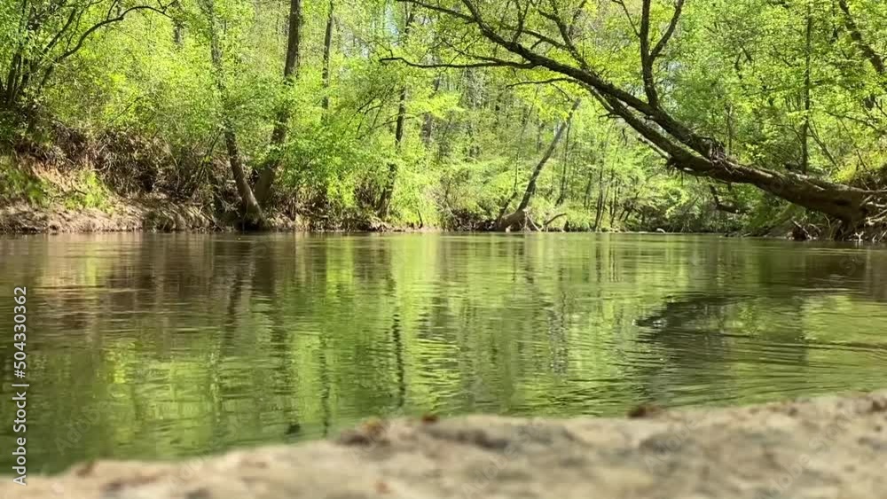 River flows through a green forest towards the camera that's sitting in the middle of the water on a rock that's visible in the bottom foreground. River flows through a green forest towards the camera that's sitting in the middle of the water on a rock that's visible in the bottom foreground.