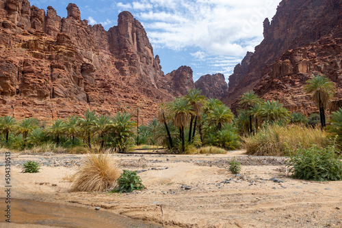 Wadi Al Disah valley views in Tabuk region of western Saudi Arabia photo