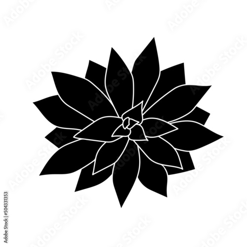 Succulent echeveria in simple style, vector illustration. Desert flower for print and design. Silhouette mexican plant, graphic isolated element on a white background. Houseplant for decor interior