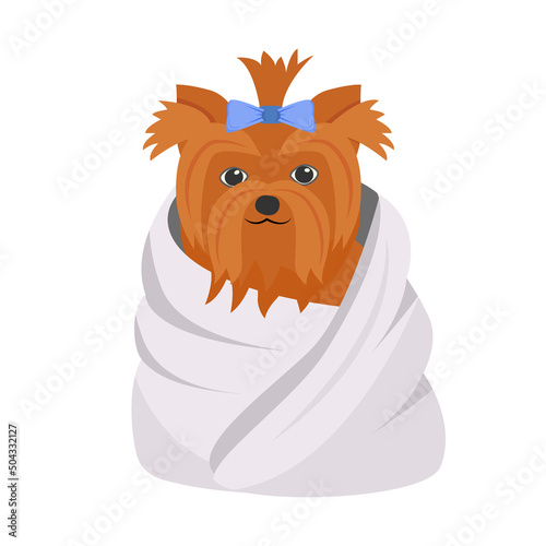 Clean dog in towel semi flat color vector element. Full sized object on white. Domestic animal. Yourkshire terrier grooming simple cartoon style illustration for web graphic design and animation