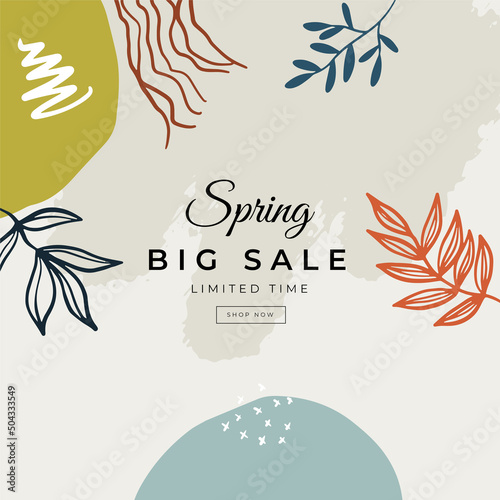 Spring flower vector background. Hello spring text in white frame space and colorful camellia and crocus flowers in white background. Vector illustration.