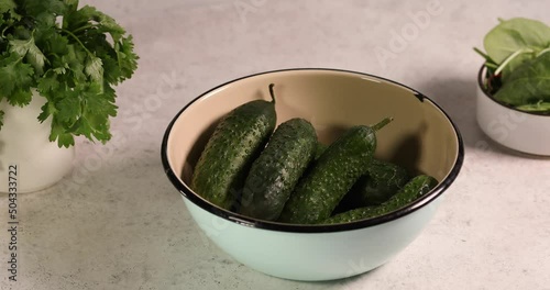 Fresh green cucumber vegetable fruit in white bowl washing
