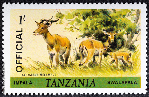 TANZANIA - CIRCA 1985: A stamp printed in Tanzania shows Impala Aepyceros melampus , Animals serie, circa 1985 photo