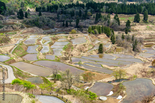Hoshitoge Terraced Rice Fields
