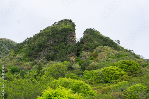 Sado Gold Mine
