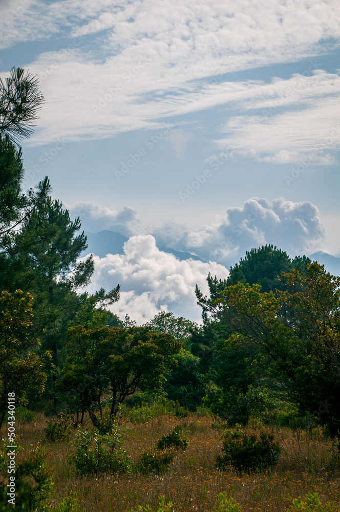 landscape with clouds
