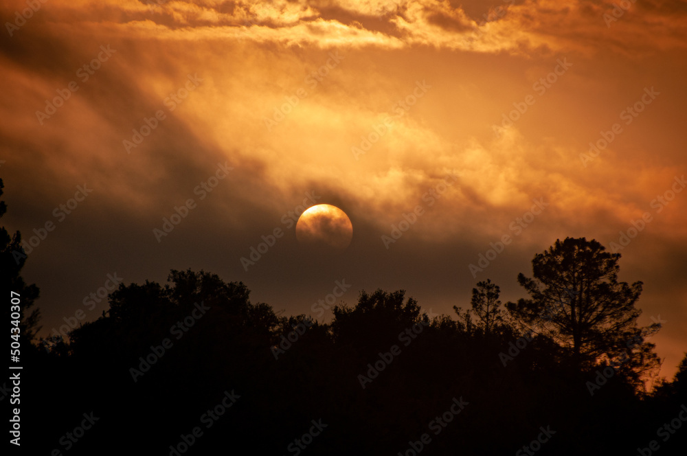 Fototapeta premium moon and clouds