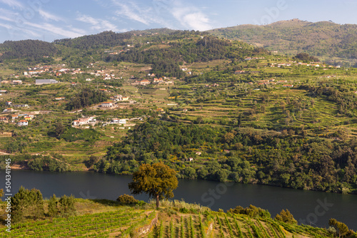 Douro Valley river in the Baião region in Portugal