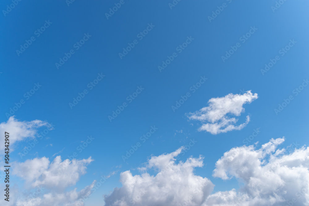 Obraz premium 青い空