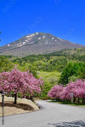 天鏡台の八重桜（福島県・猪苗代町） photo