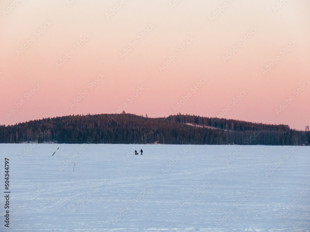 People walking dogs on a frozen lake at sunset in Kuopio, Finland.
