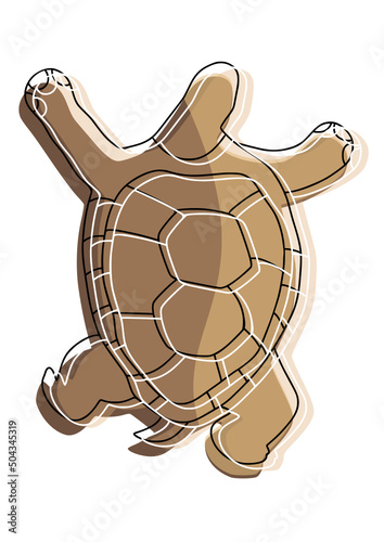 Tortue
