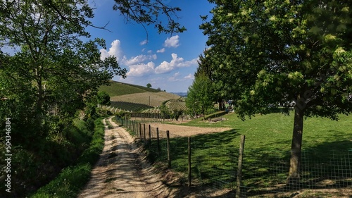 the landscapes of the Piedmontese Langhe of Barolo and Monforte d alba in spring. Land of vineyards producing the best wines in the world