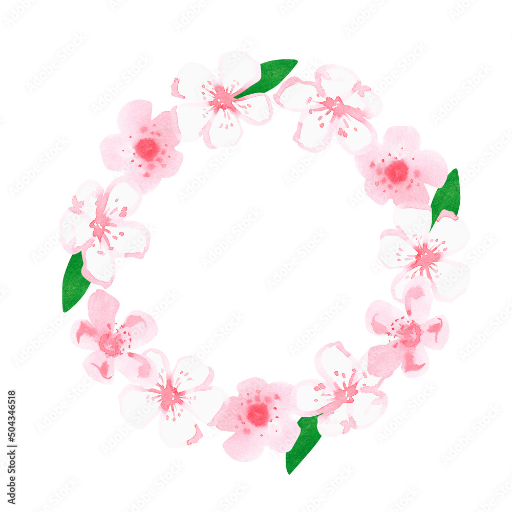 Sakura wreath. Watercolor illustration. Isolated on a white background.For design
