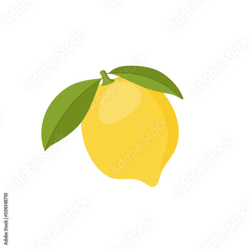 Fresh lemon fruits, lemon vector, lemon icon