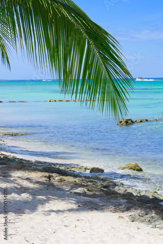 Fototapeta Naklejka Na Ścianę i Meble -  Travel background with Caribbean sea and palm leaves .
