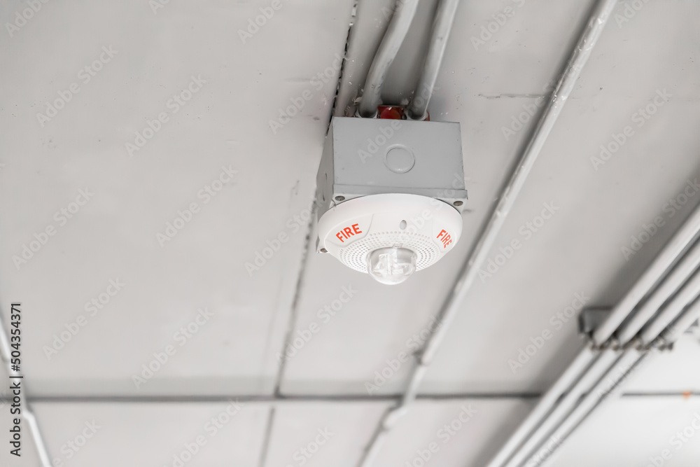 fire detector at ceiling, smoke and flame alarm sensor in commercial building safety equipment - obrazy, fototapety, plakaty 