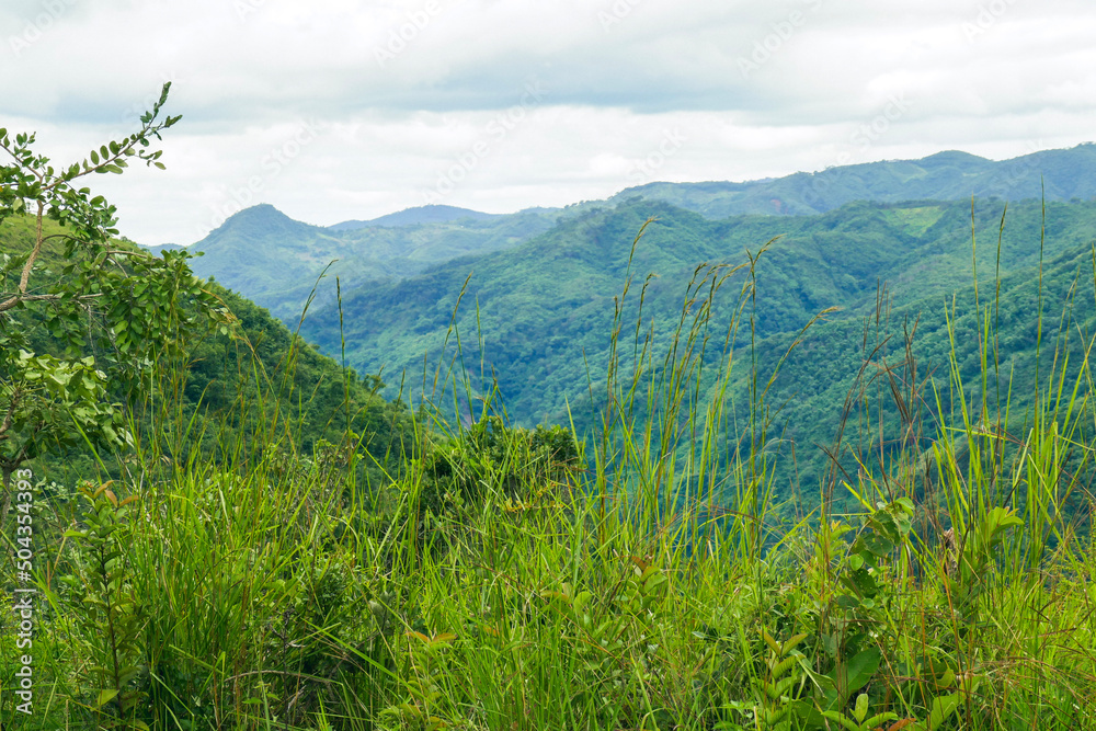Scenic view of forest against mountains in Mbeya, Tanzania