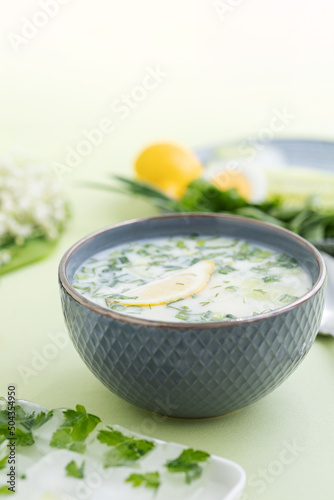 vegetable cold summer soup with yogurt and lemon