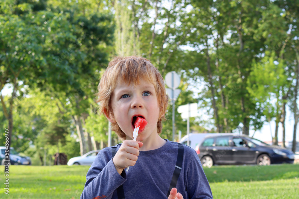 The blond boy holds a fork in his hand and eats a watermelon. A five-year-old boy narrows his eyes and bites off a piece of watermelon.