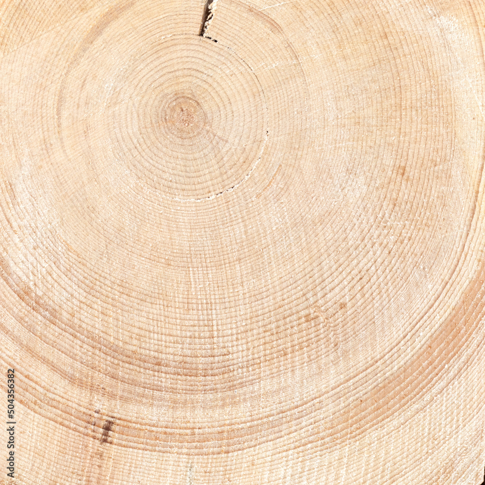 Naklejka premium Seamless texture wood. Natural background with ornaments and cracks