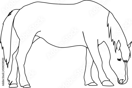 Coloring page with grazing horse isolated on white background