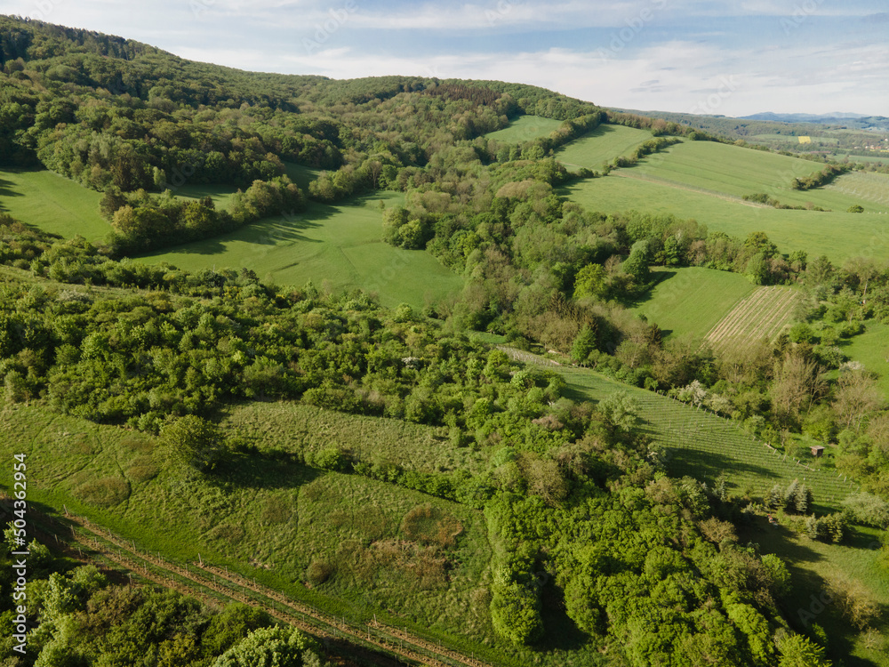 aerial drone flight over green meadows and forest in lower austria