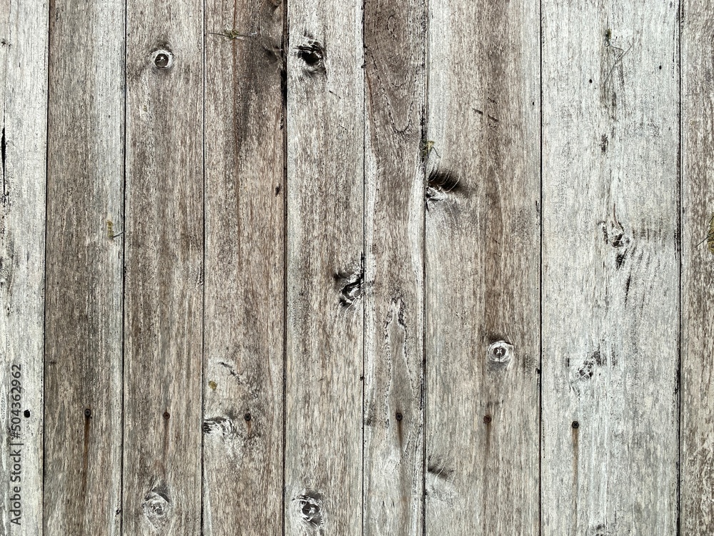Full frame shot of old wood background. Texture of wood plank background. Full frame shot of old wood background. Texture of wood plank background.