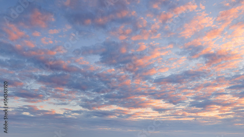 Pink blue sky with fluffy clouds at beautiful sunset as natural background.