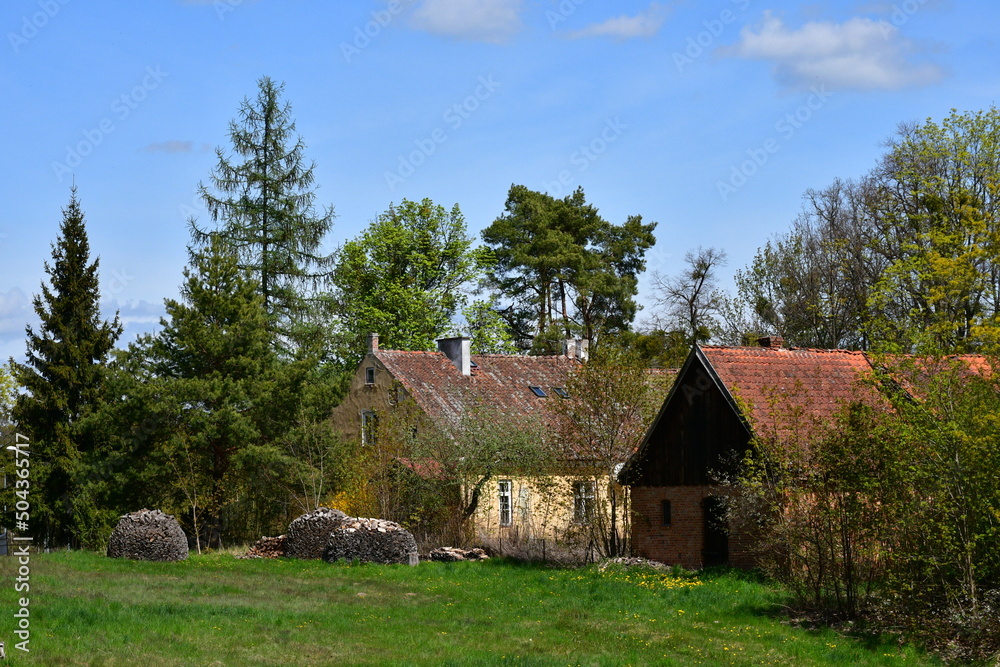 A close up on an old abandoned house with its roof almost entirely covered with vines and with other flora and with some decorations around the windows seen in the middle of a dense forest or moor