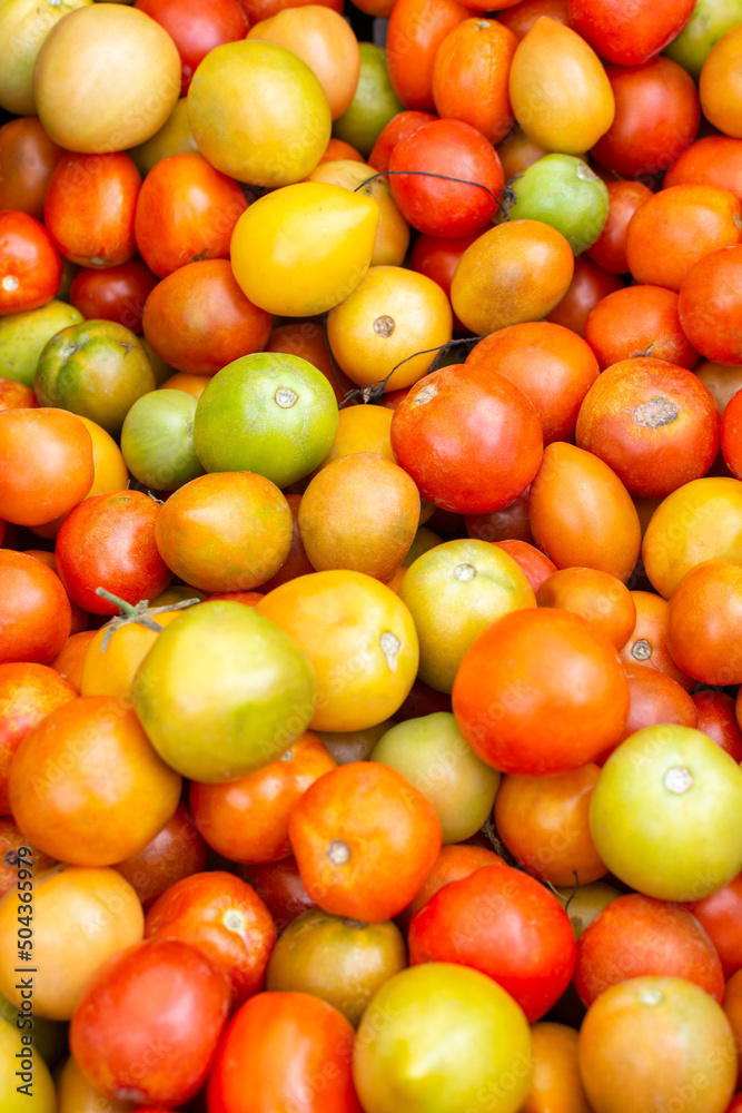 Variety of multi-colored tomatoes at a traditional Latin market