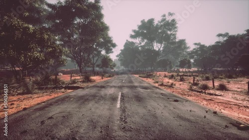 Asphalt road through the deep forest