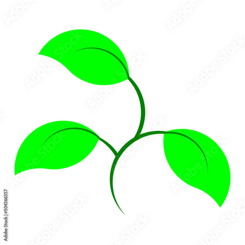 illustration logo, plant theme that always grows and develops gradually.