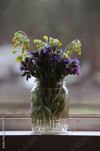 Bouquet of spring flowers in front of the window. Yellow, pink, blue, purple forest spring flowers stand in a glass jar indoors on the windowsill. Rustic still life flowers in a jar.