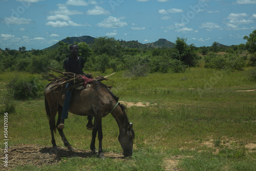 Rider in a northern Cameroon prairie
