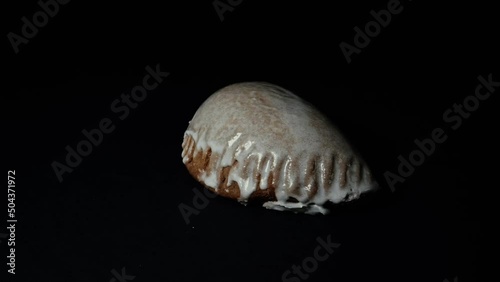 Gingerbread, a sweet bakery product covered with sugar icing, contains honey and spices. On a dark background