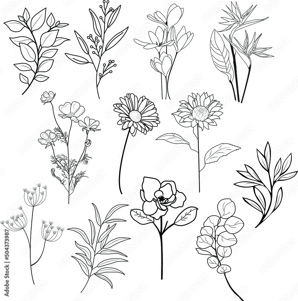 Flowers And Leaves Set In Minimalist LIne Art Style. Hand drawn sketch flowers and insects