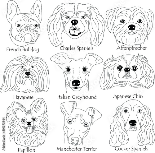 Dog Breeds Minimalist Line Art Style. Hand drawn set various dogs. 