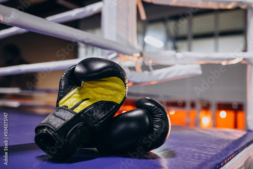Boxing gloves lying on empty ring © Petro