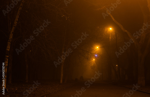 Fototapeta Naklejka Na Ścianę i Meble -  Fog in the night park.