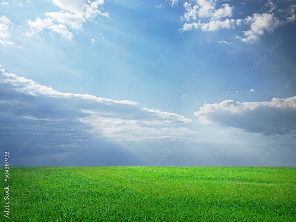 Field of green grass under blue sky with dramatic clouds and sun beam, landscape backdrop