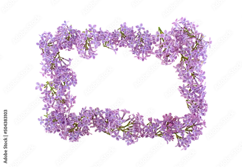 Frame for congratulations, background of lilac flowers isolated on white background