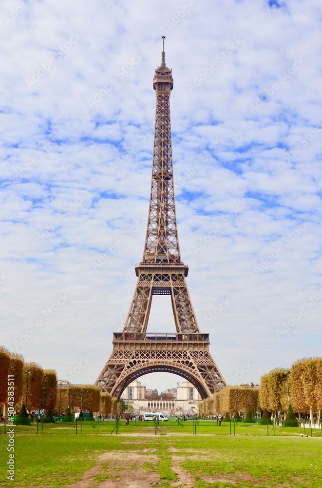 Fototapeta premium The Eiffel Tower in Paris