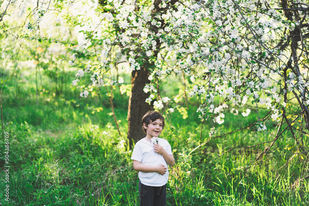 Happy little boy walking in spring garden. Child playing with branch of an apple treeand having fun. Kid exploring nature. Baby having fun. Spring activity for inquisitive children. Happy little boy walking in spring garden. Child playing with branch of an apple treeand having fun. Kid exploring nature. Baby having fun. Spring activity for inquisitive children.