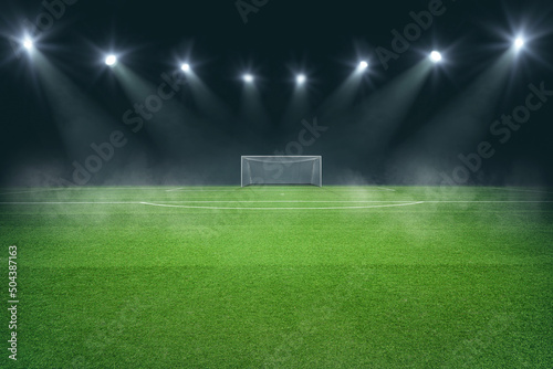 textured soccer game field - View of the soccer goal from midfield. © Igor Link