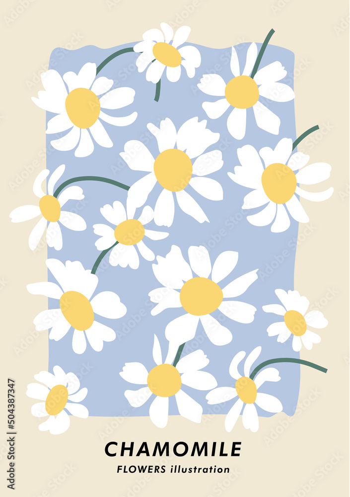 Vector illustration botanical poster with chamomile flowers. Art for postcards, wall art, banner, background.